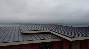 Best Green or Eco-Friendly Roofing Solutions  in Little Canada, MN